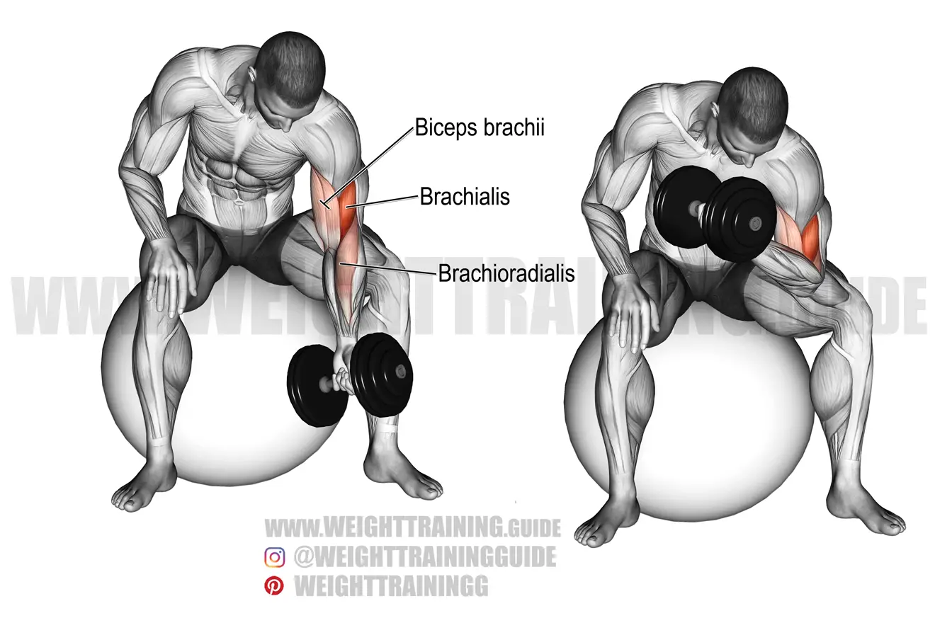 one arm concentration curls