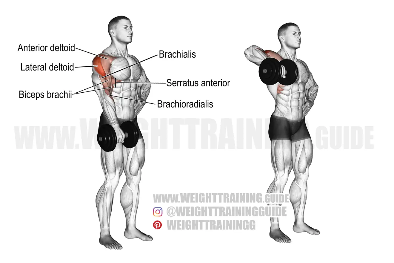 Dumbbell one-arm upright row exercise