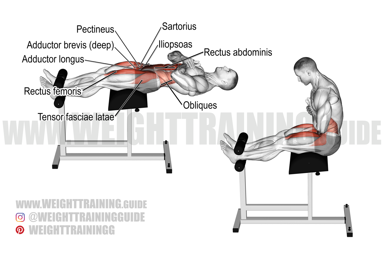 Roman chair sit-up exercise