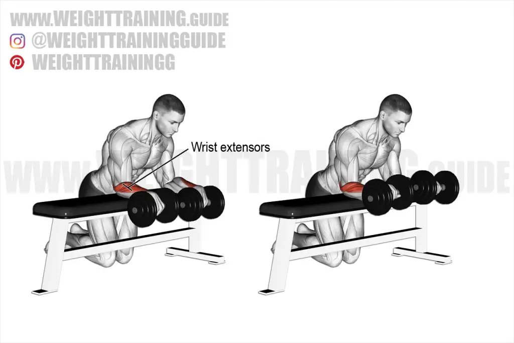 Seated dumbbell lateral raise instructions and video | WeightTraining.guide