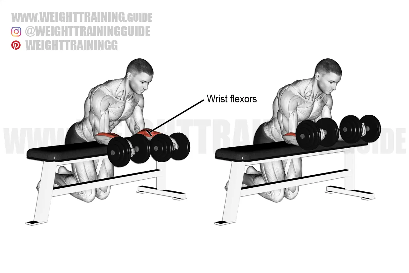 Dumbbell wrist curl over bench exercise