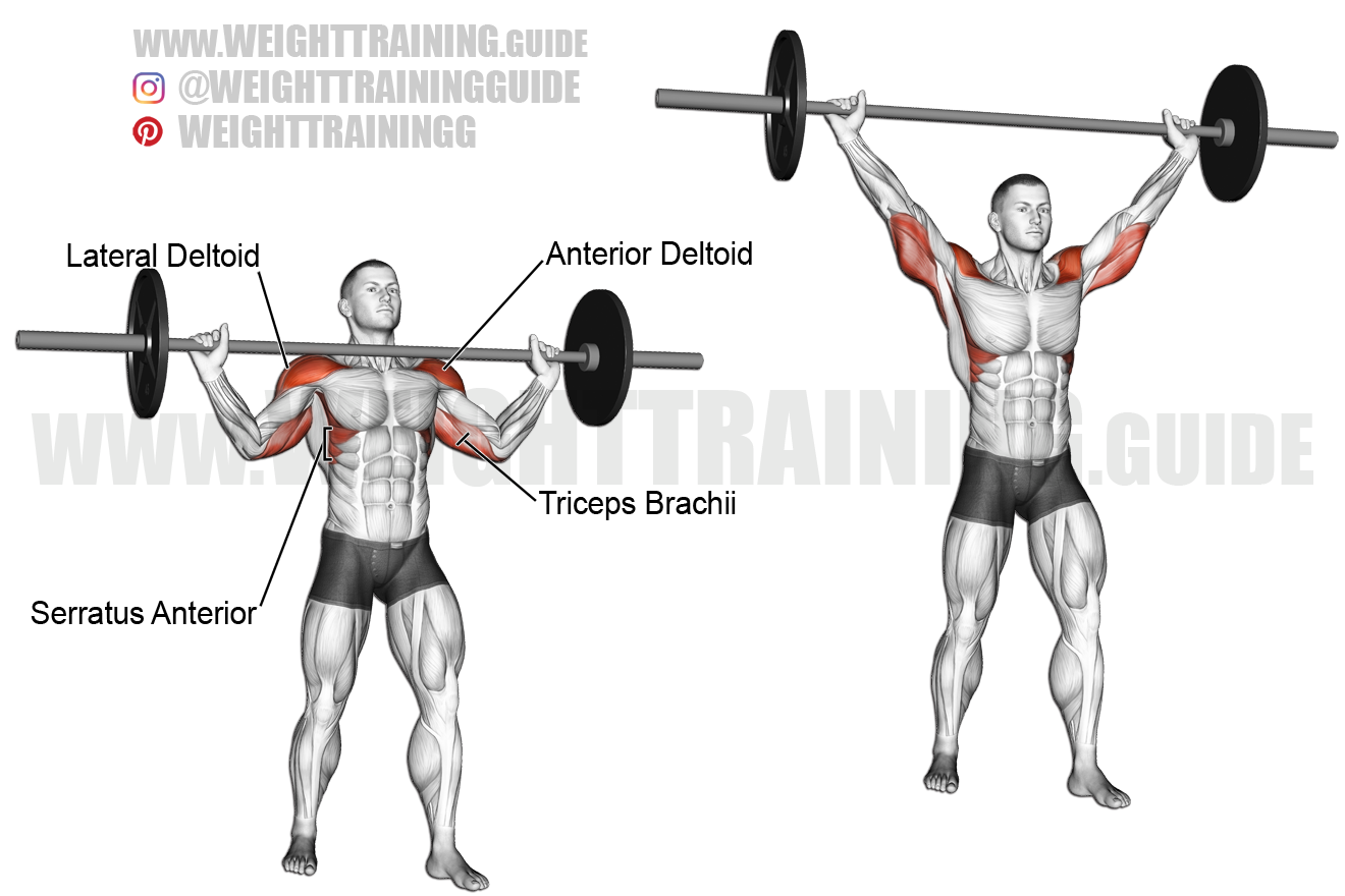 Barbell Shoulder Press