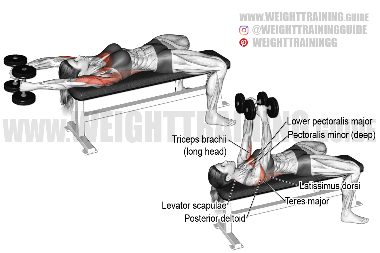 Double dumbbell pullover exercise instructions and video