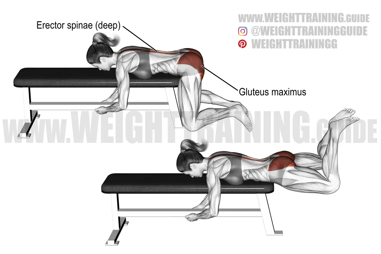 Flat bench frog reverse hyperextension exercise