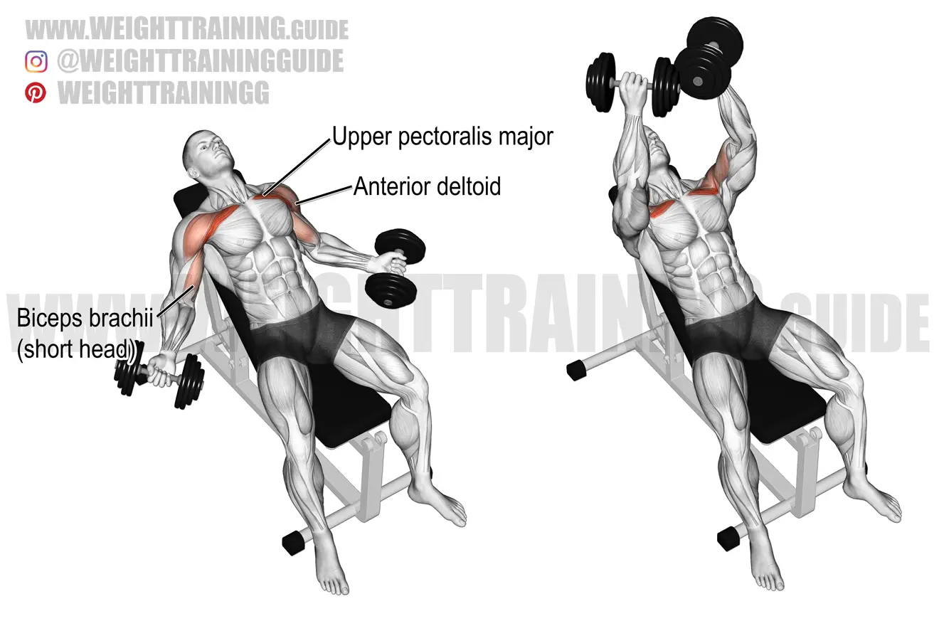 Hyght dumbbell fly exercise