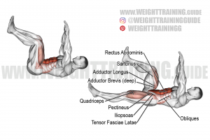 Dead bug (with no arm movement) exercise