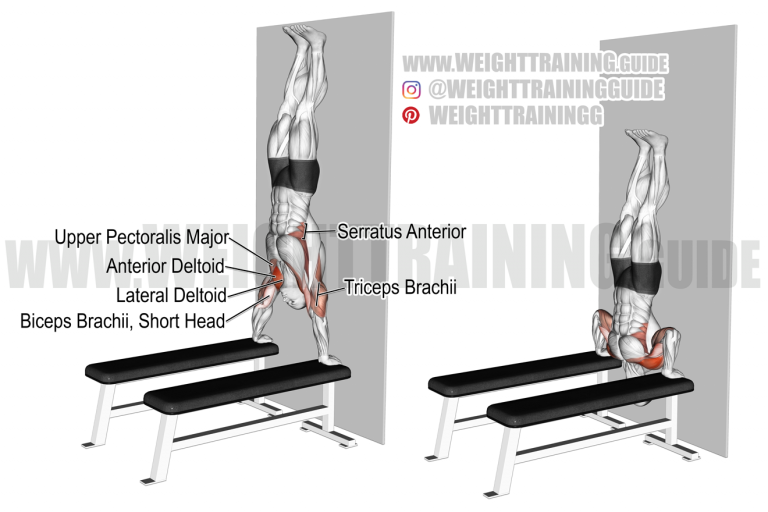 Handstand press exercise