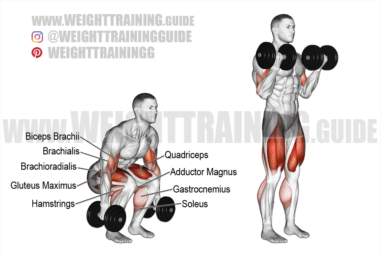 Dumbbell squat to dumbbell curl exercise