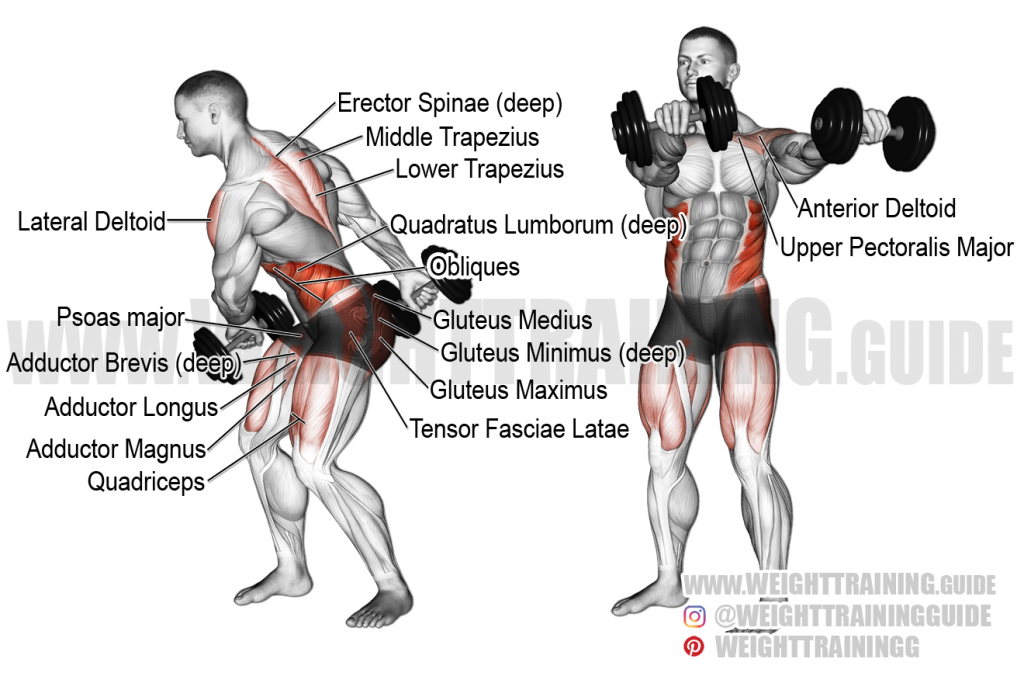 Seated dumbbell lateral raise instructions and video | WeightTraining.guide