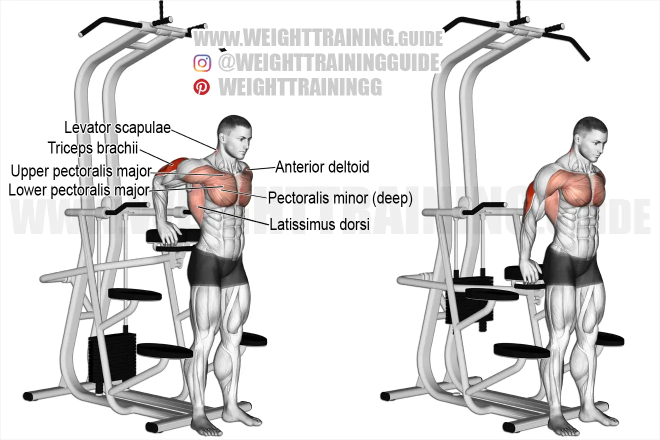 Triceps dip using assisted pull-up machine exercise