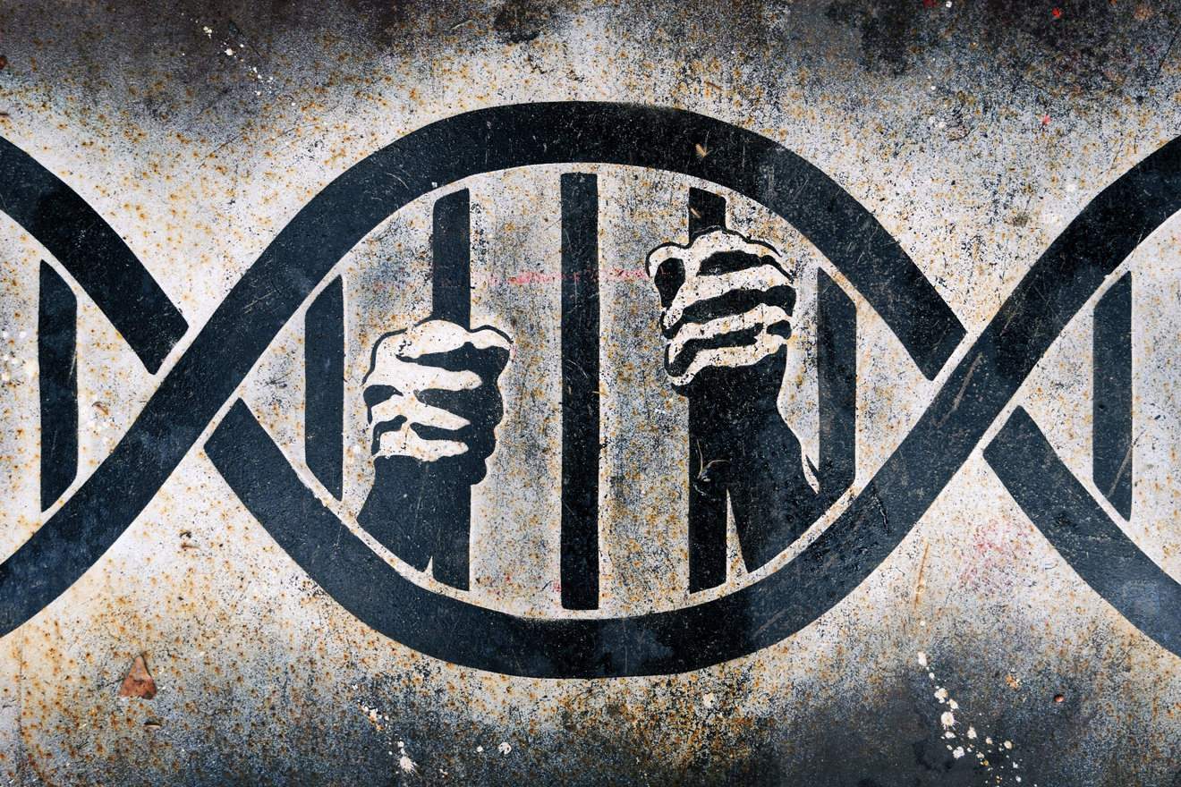 Genetic restriction