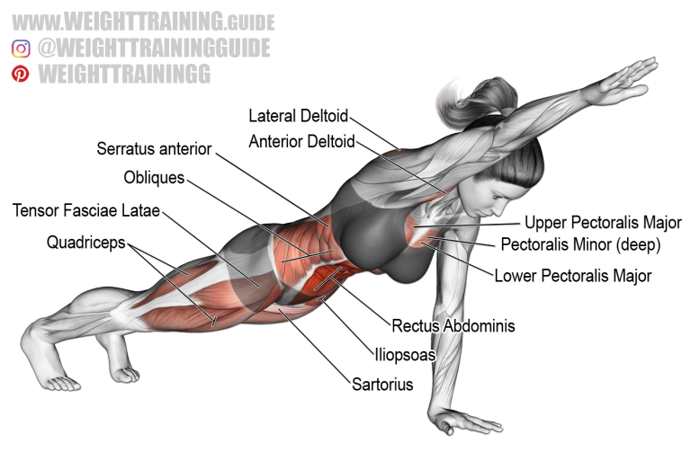 High front plank with arm raise exercise