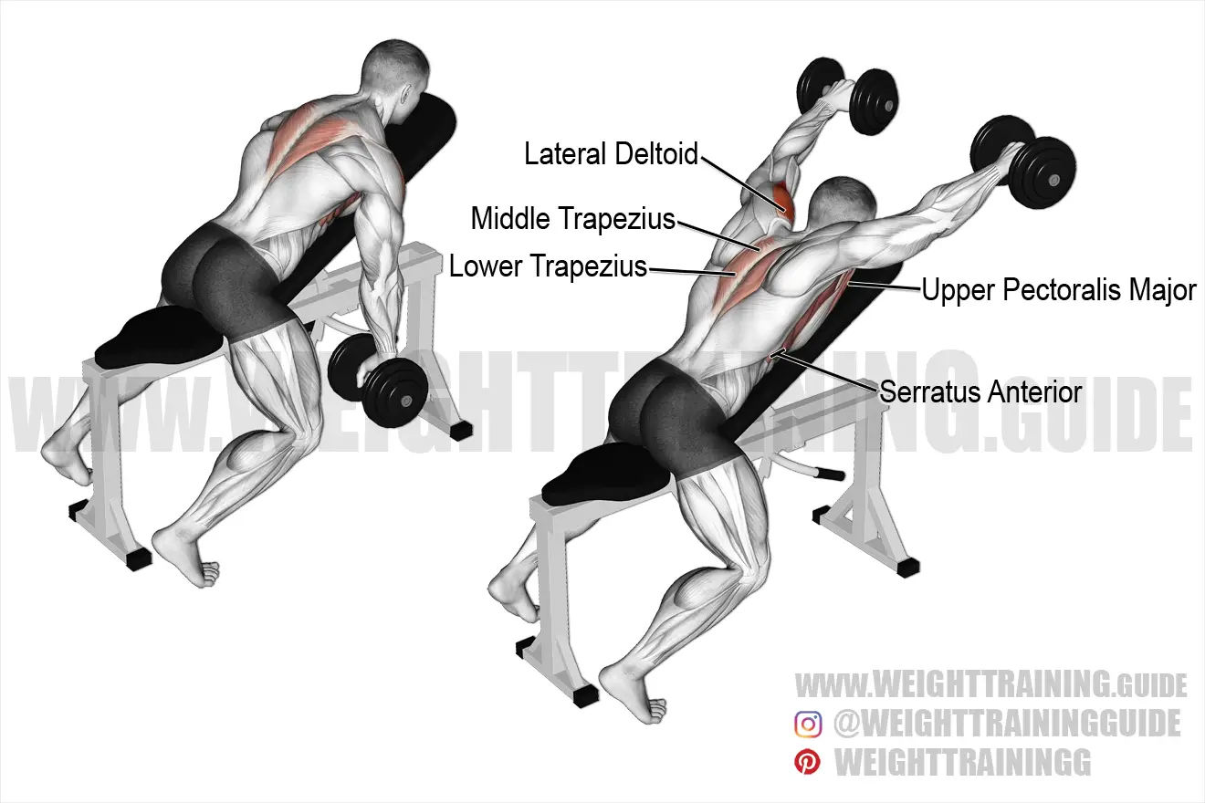 Prone incline dumbbell front raise exercise instructions and video