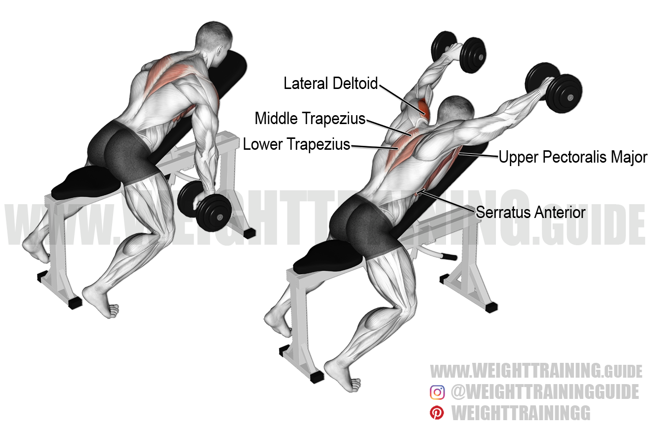Chest Supported Incline Y Raise At Sandra Moody Blog