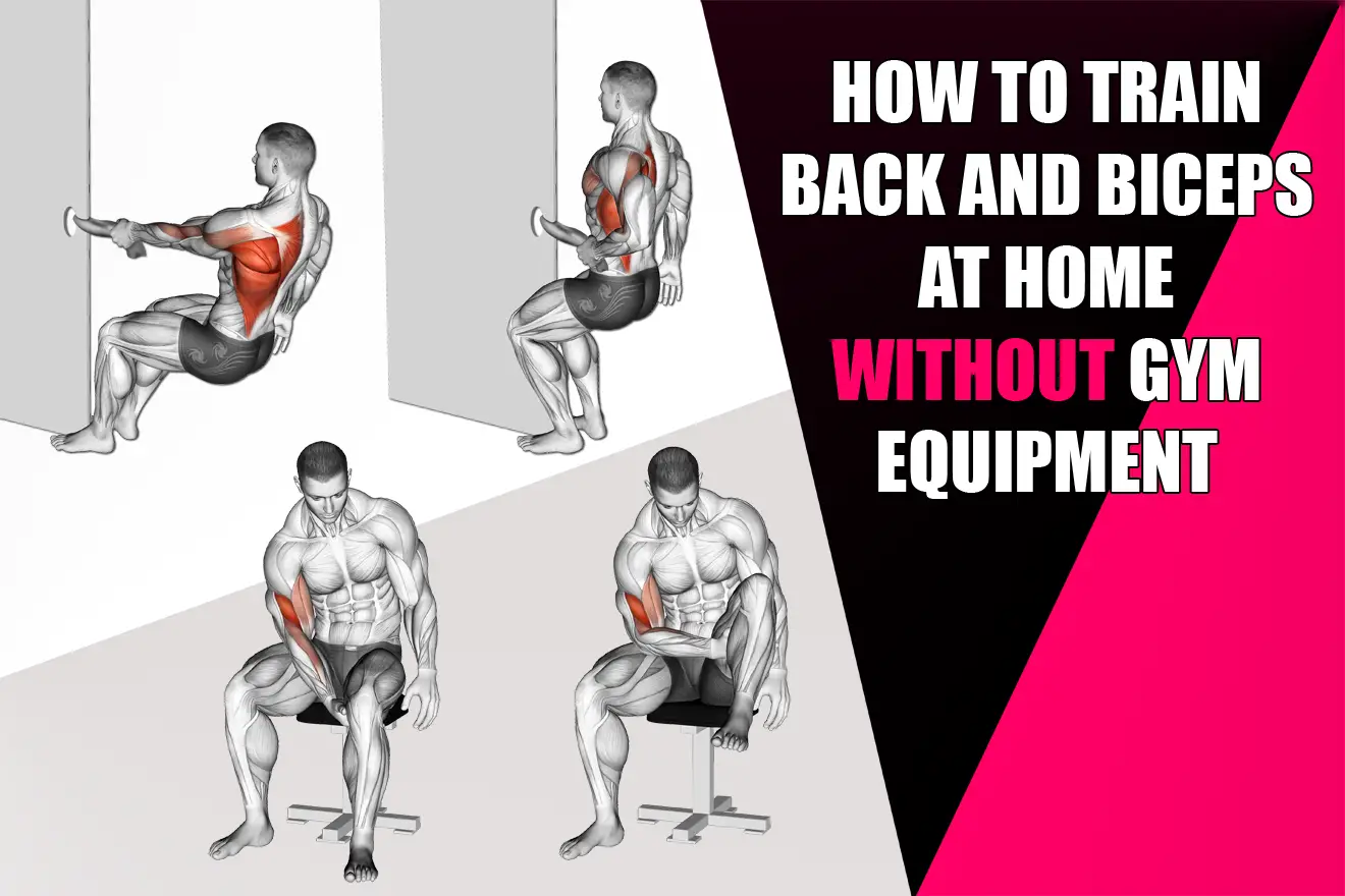 NO GYM, Home Back Workout No Equipment, Back Exercise
