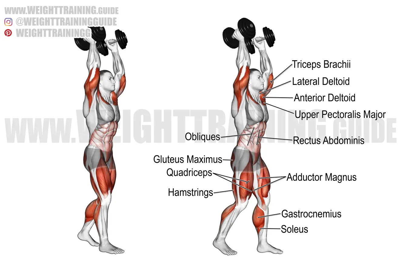 Ground-to-Overhead - Plate or Dumbbell 