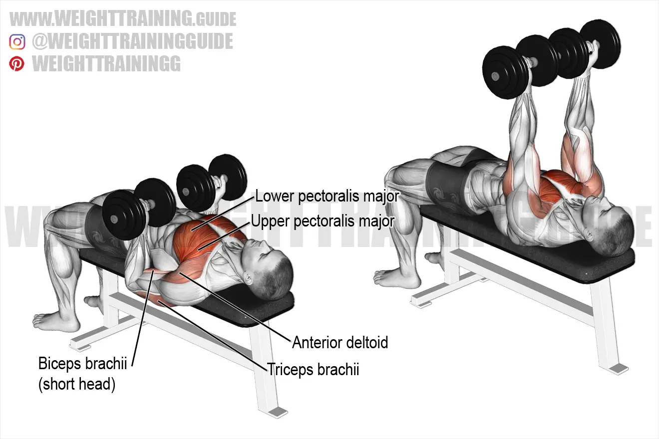 triceps close grip dumbbell press
