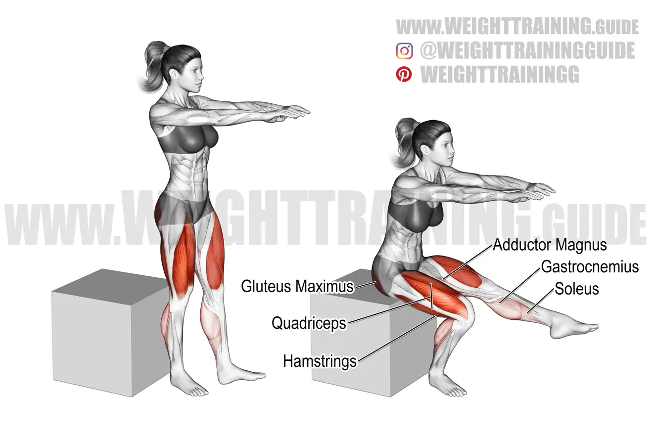 Pistol box squat exercise instructions and video