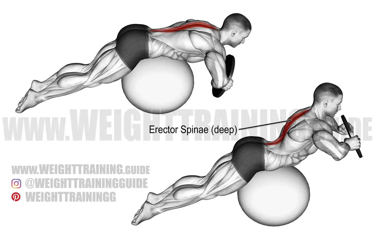 Weighted Back Extension » Workout Planner