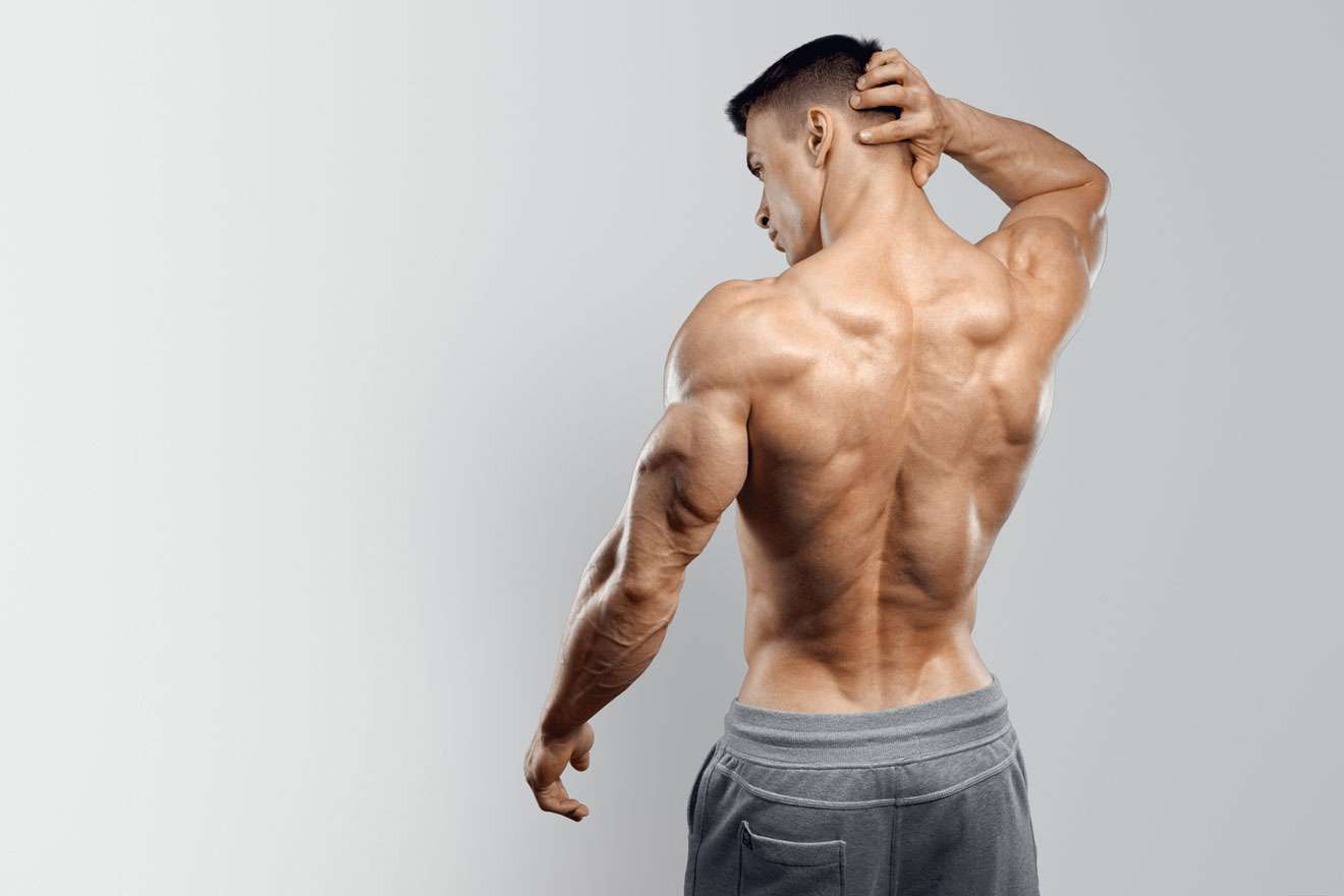 Muscular man holding back of neck